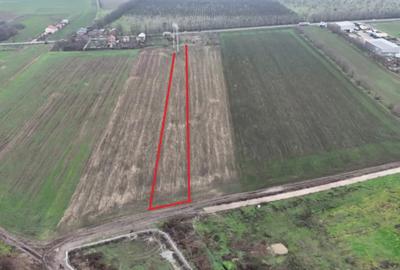 Teren de 7630 mp, în Frumușani - 1