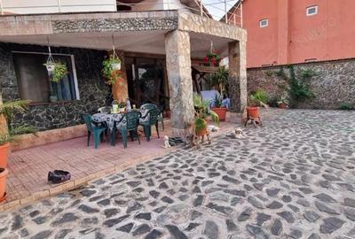 Casă cu 3 camere cu Teren 1400 Mp în Bariera Vâlcii - 7