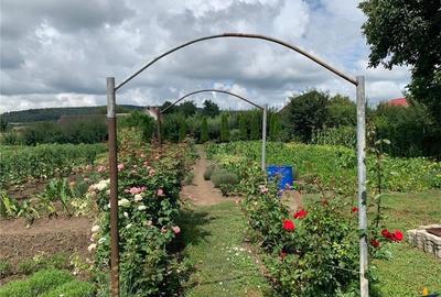 1.300mp teren intravilan,livada,utilitati,locatie premium:rezidential/comercial: - 8