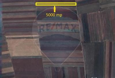 Teren de 5000 mp, în Tărlungeni