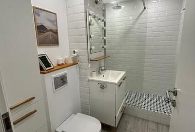 Apartament cu 2 camere semidecomandat, mobilat în Steaua - 4