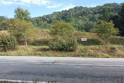 Teren de 4183 mp, în Bârlogu - 7