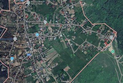 Teren intravilan de 3500 mp, în Păun - 6