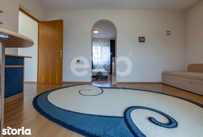 Casă cu 5 camere cu Teren 3659 Mp în Sărata - 10