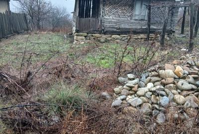 Casă cu 2 camere în Central - 1