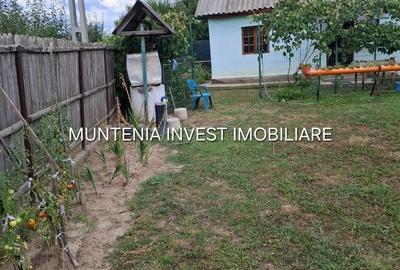 Casă cu 3 camere în Broșteni - 8