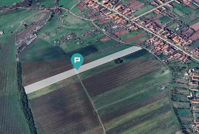 Teren intravilan + extravilan in Remetea Mica Teren intravilan + extravilan in Remetea Mica - 4