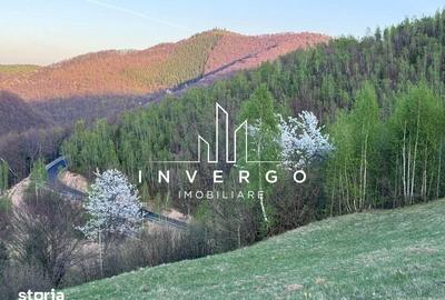 Teren de 4300 mp, în Vale - 5