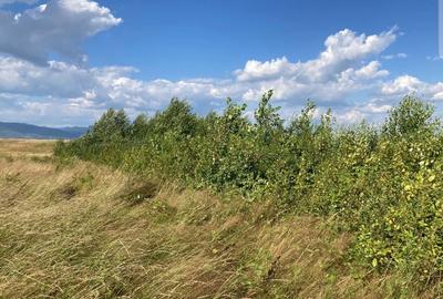 Teren de 3600 mp, în Arieșu de Pădure - 1