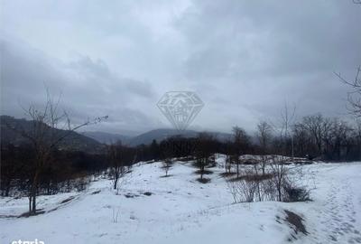 Teren de 5229 mp, în Șotrile - 7