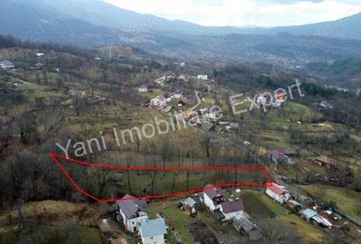 Teren de vanzare in comuna Arefu, jude? Arge?. - 17