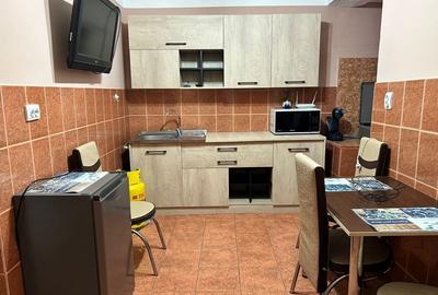 Apartament cu 2 camere decomandat în Diosig - 6