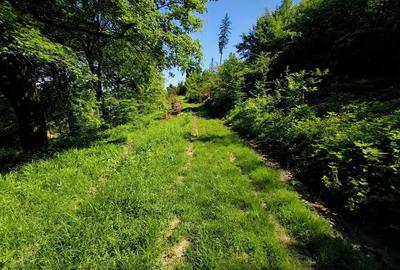 Teren de 2000 mp, în Cristian