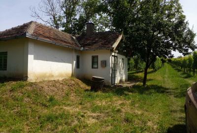 Spațiu comercial, în Ardud - 7