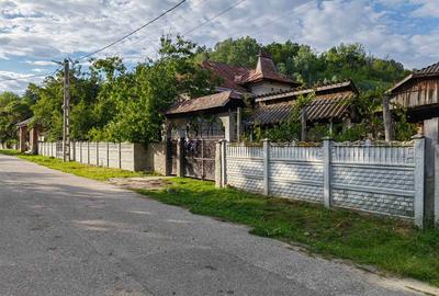 Casă cu 4 camere cu Teren 5019 Mp în Hurezani - 6