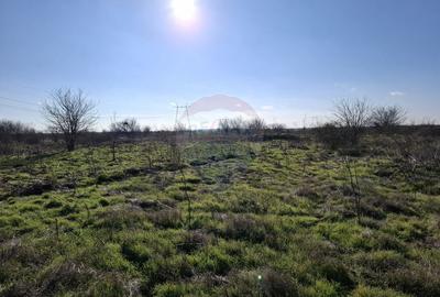 Teren Construcții intravilan de 58075 mp, în Novaci - 10