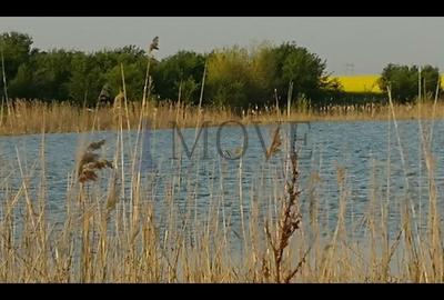 TEREN 22 HA  ideal parc industrial - 2