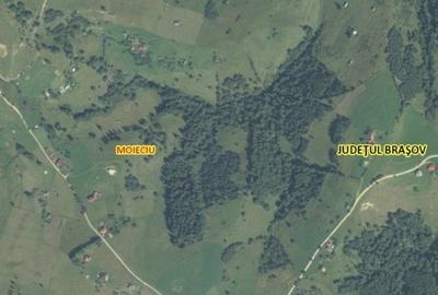 VÂNZARE TEREN CU POTENȚIAL DE DEZVOLTARE ÎN ZONA TURISTICĂ MAGURA-PESTERA - 2