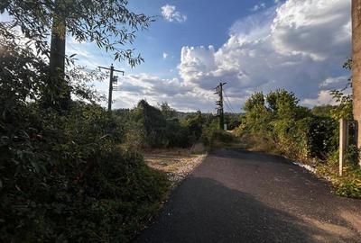 Teren agricol extravilan de 9400 mp, în Exterior Nord - 4