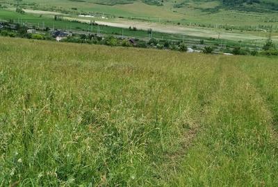 Teren de 2900 mp, în Aghireșu - 4