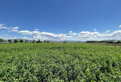 Teren intravilan Zona Metropolitana Brasov - 5