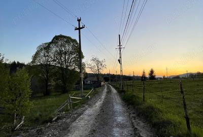 Teren de 1400 mp, în Izvoru Mureșului - 5