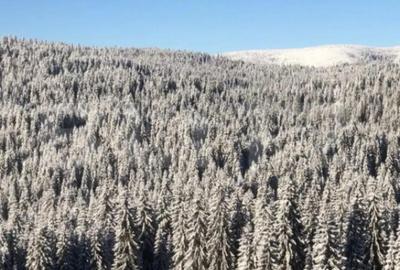 Casă cu 5 camere cu Piscina în Beliș - 2