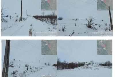 Teren de 10000 mp, în Plenița - 4