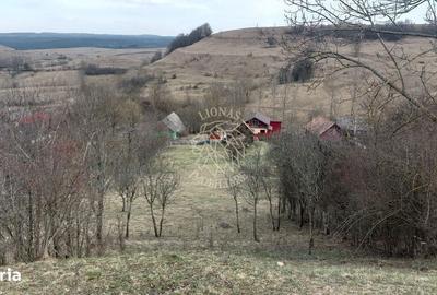 Casă cu 2 camere în Bociu - 11