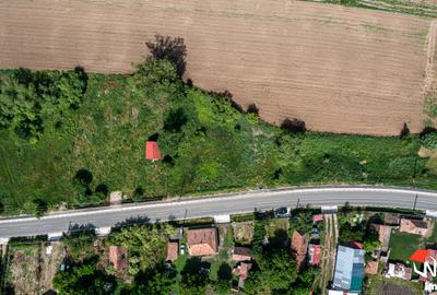 Teren Construcții intravilan de 1916 mp, în Jucu de Sus - 3