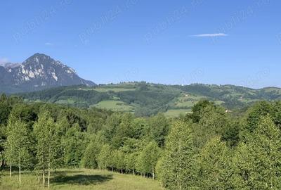 Teren de 4069 mp, în Poiana Mărului - 2