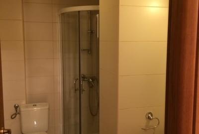 Barbu Vacarescu/strada Dambovicioarei  vis a  vis de Complexul Dinu Pescariu - 6