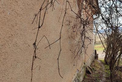 Casă cu 3 camere cu Teren 2000 Mp în Laslău Mare - 9