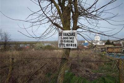 Teren de 2000 mp, în Mahmudia