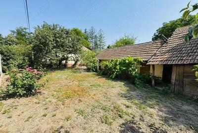 Casa 3 Camere - loc. Ciacova - 0% Comision - 18