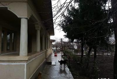 Casă cu 4 camere cu Teren 13000 Mp în Oncești - 10