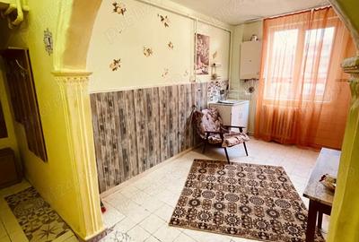 Apartament cu 2 camere semidecomandat în Cetate - 9