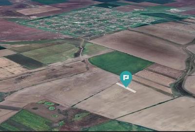 Teren agricol 3200 mp in Caporal Alexa