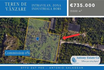 Teren Construcții intravilan de 13500 mp, în Nord-Est