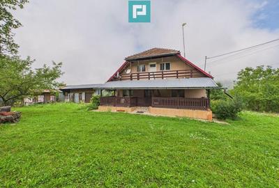 Casa de vanzare in depresiunea Mun?ilor Codru Moma - 18