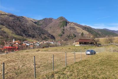 Teren intravilan de 1035 mp, în Râu Sadului - 23