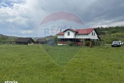 Casă cu 4 camere cu Teren 57600 Mp în Zimbor - 9