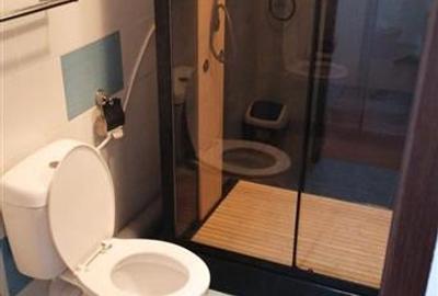 Apartament cu 2 camere decomandat, mobilat în Nicolina - 7