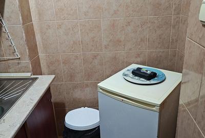 Garsonieră decomandată în Dacia - 6