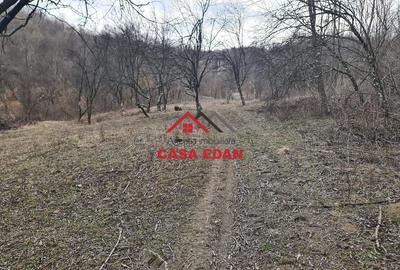 Teren de 3448 mp, în Provița de Jos - 4