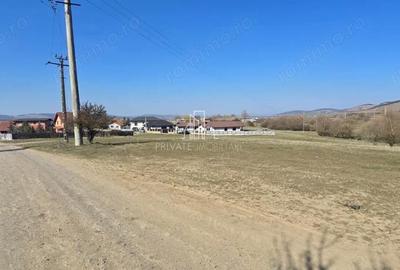 Spațiu comercial, în Sângeorgiu de Mureș - 9