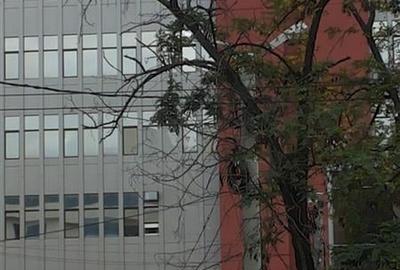 Inchirieri spatii pentru birouri de la 50 mp - 11