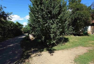 Teren intravilan cu potential, casa si anexe in Lunca - 10