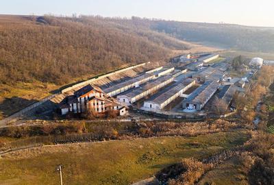 Fosta Ferma a Partidului de la Horgesti - de vanzare - 1