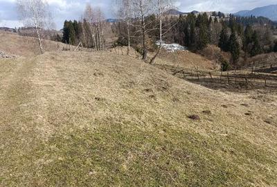 Teren de 3200 mp, în Dâmbovicioara - 6